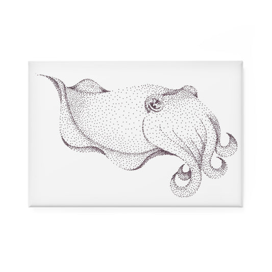 Magnet, Rectangle - Cuttlefish