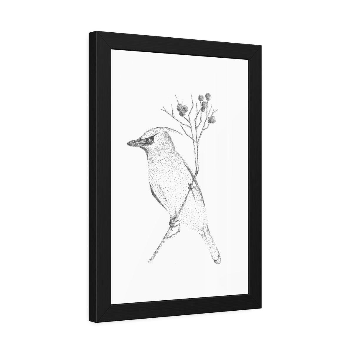 Framed Paper Posters - Waxwing