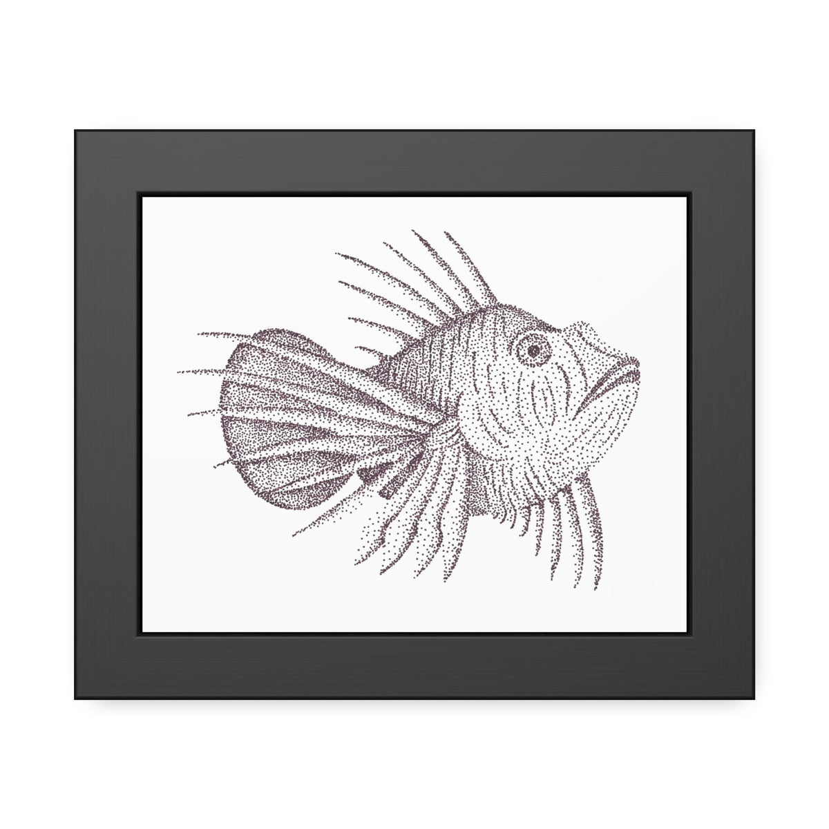 Framed Paper Posters - Lionfish