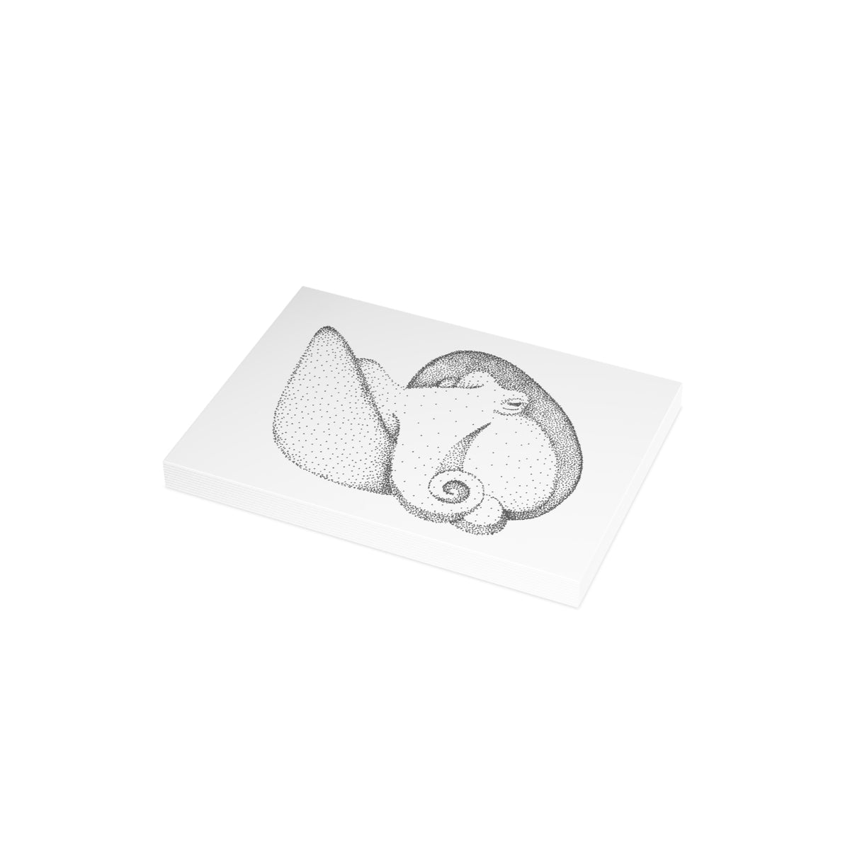 Postcard Bundle with Envelopes - Shelled Octopus
