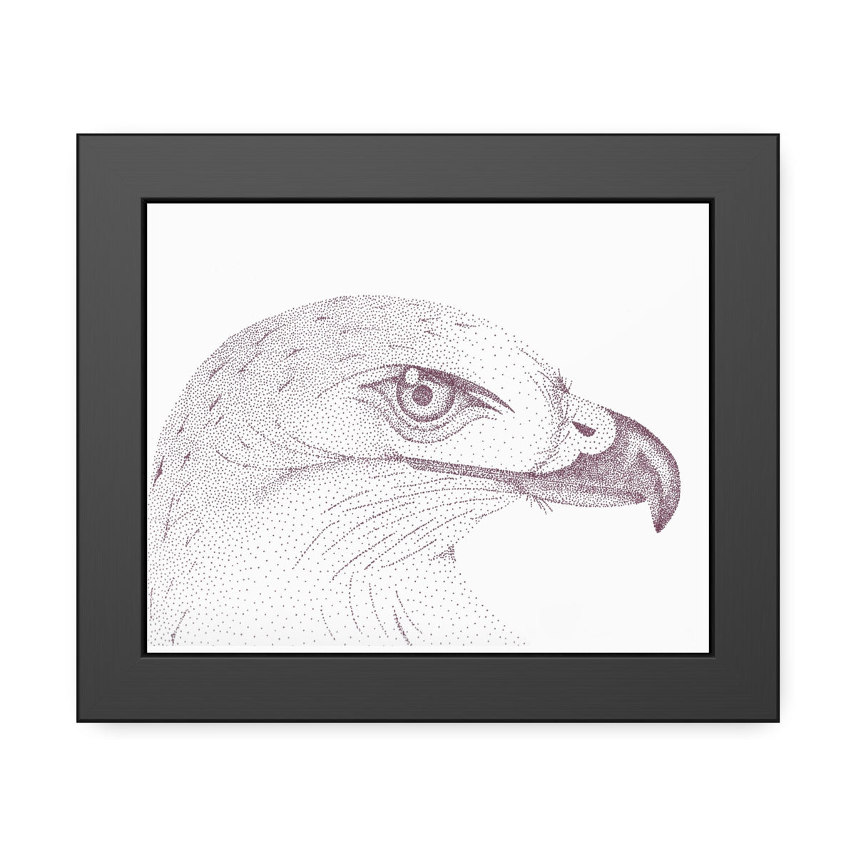Framed Paper Posters - Hawk