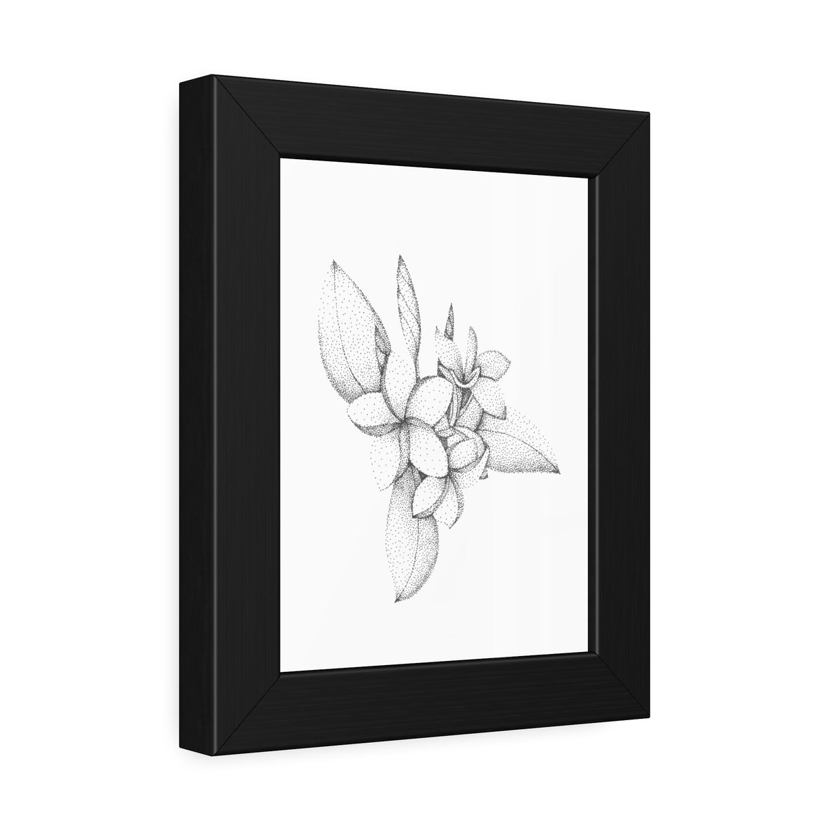 Framed Paper Posters - Plumeria