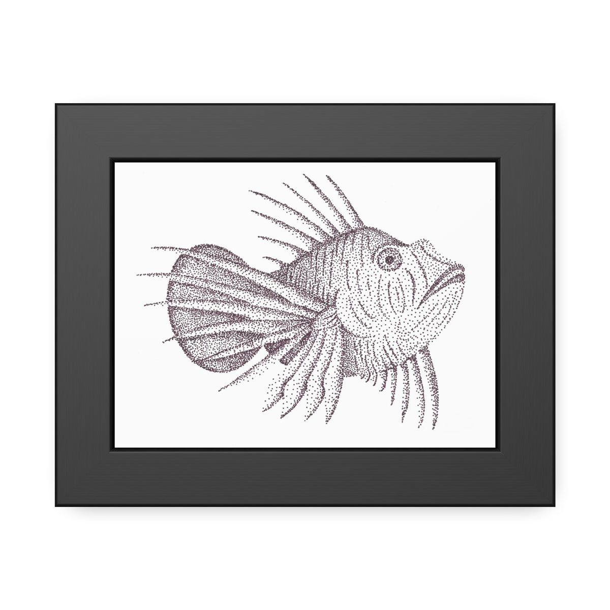 Framed Paper Posters - Lionfish