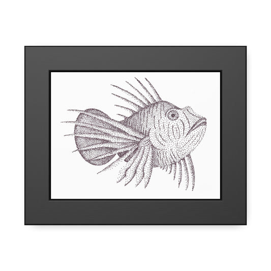 Framed Paper Posters - Lionfish