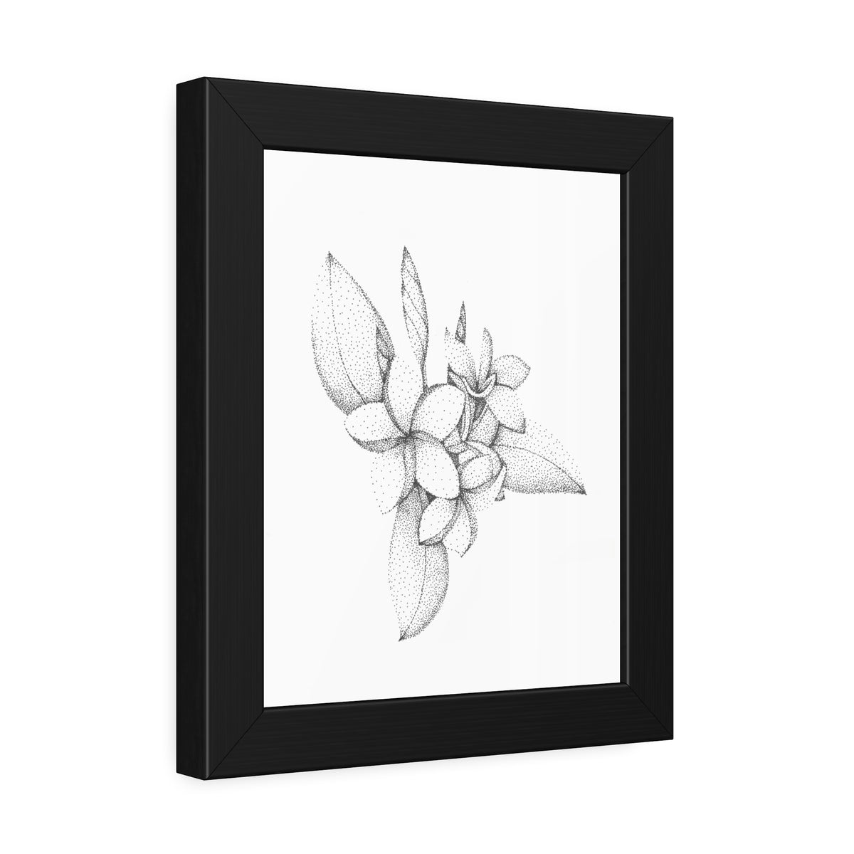 Framed Paper Posters - Plumeria