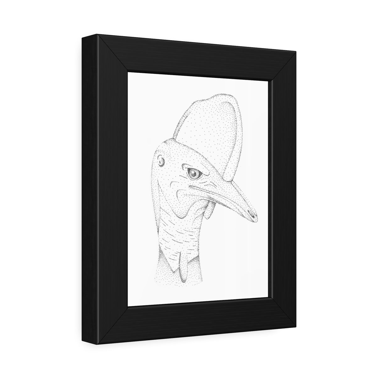 Framed Paper Posters - Cassowary