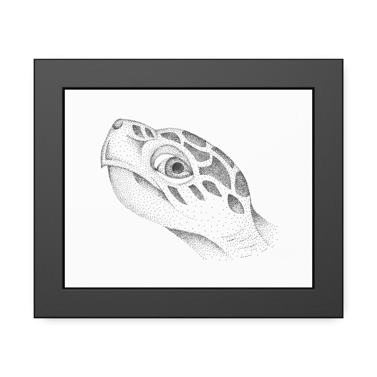 Framed Paper Posters - Sea Turtle