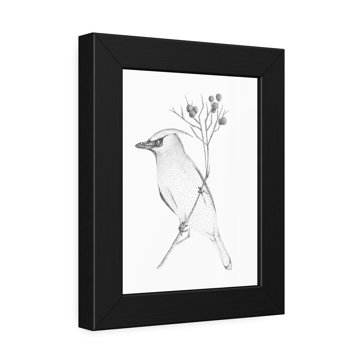 Framed Paper Posters - Waxwing