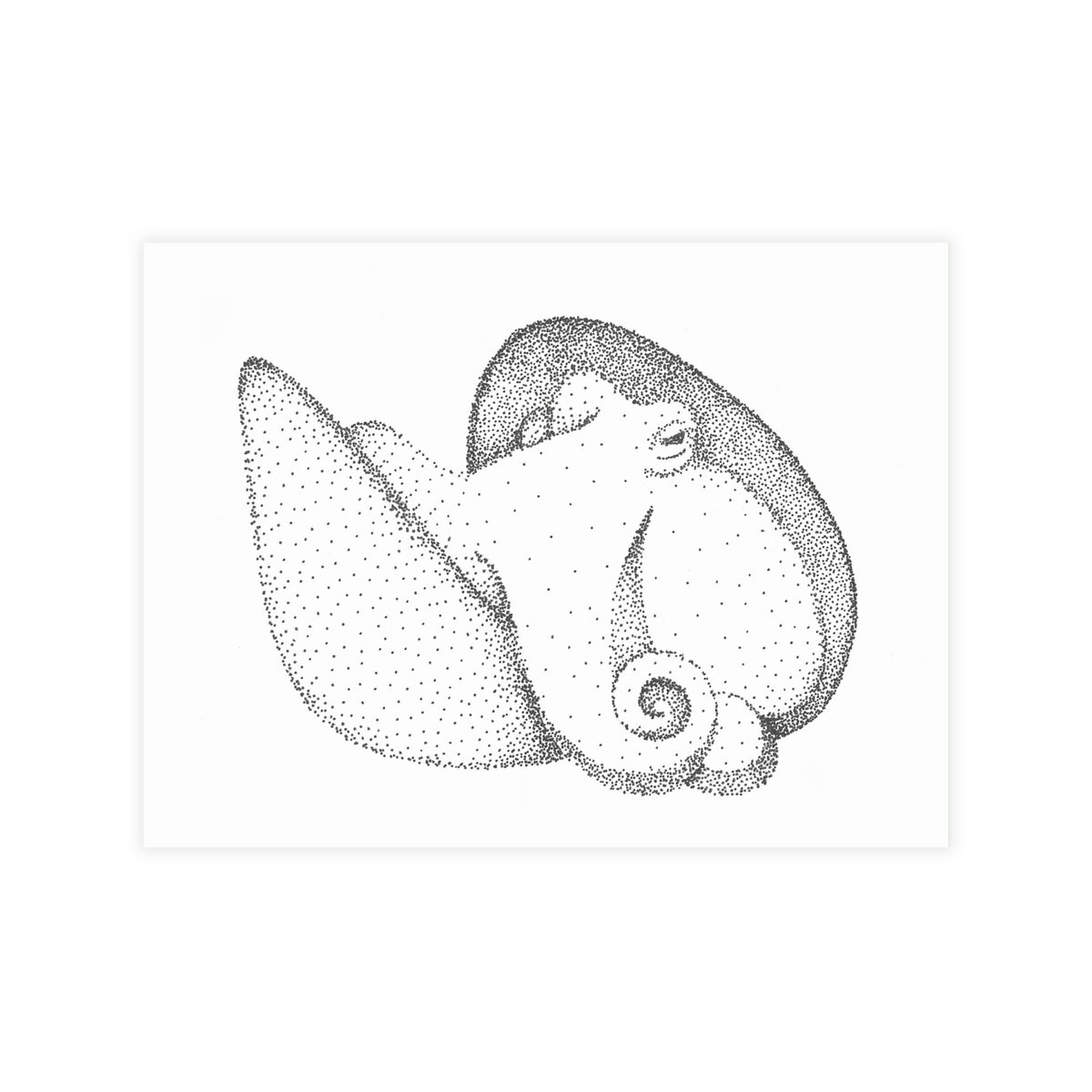 Postcard Bundle with Envelopes - Shelled Octopus