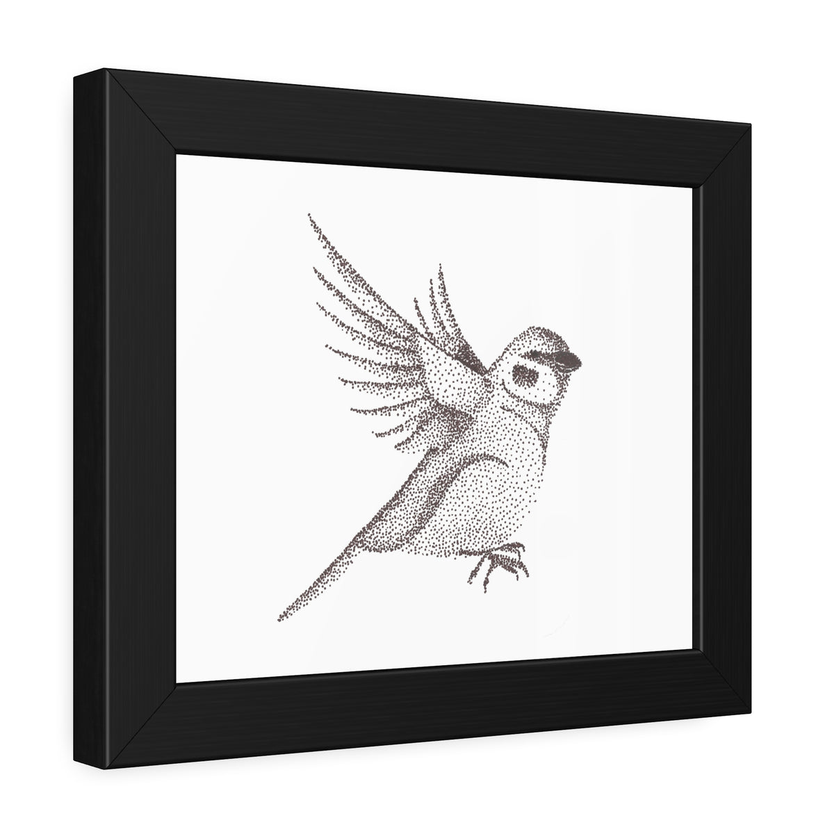 Framed Paper Posters - Sparrow