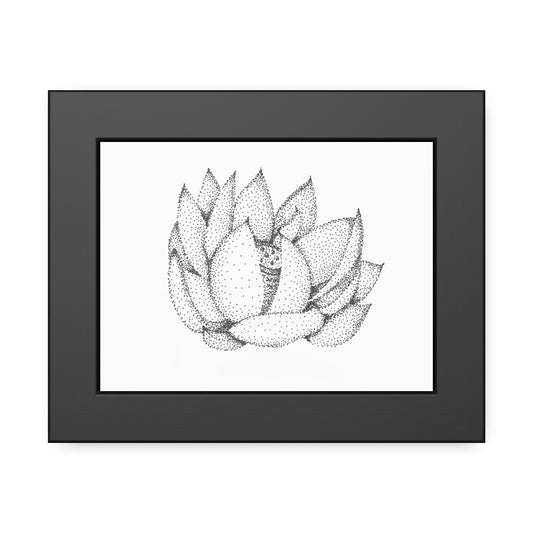 Framed Paper Poster - Lotus