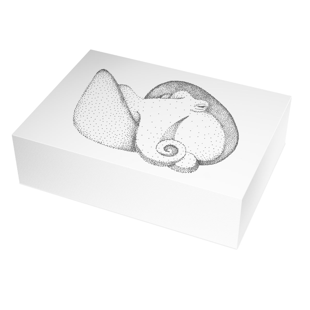 Postcard Bundle with Envelopes - Shelled Octopus