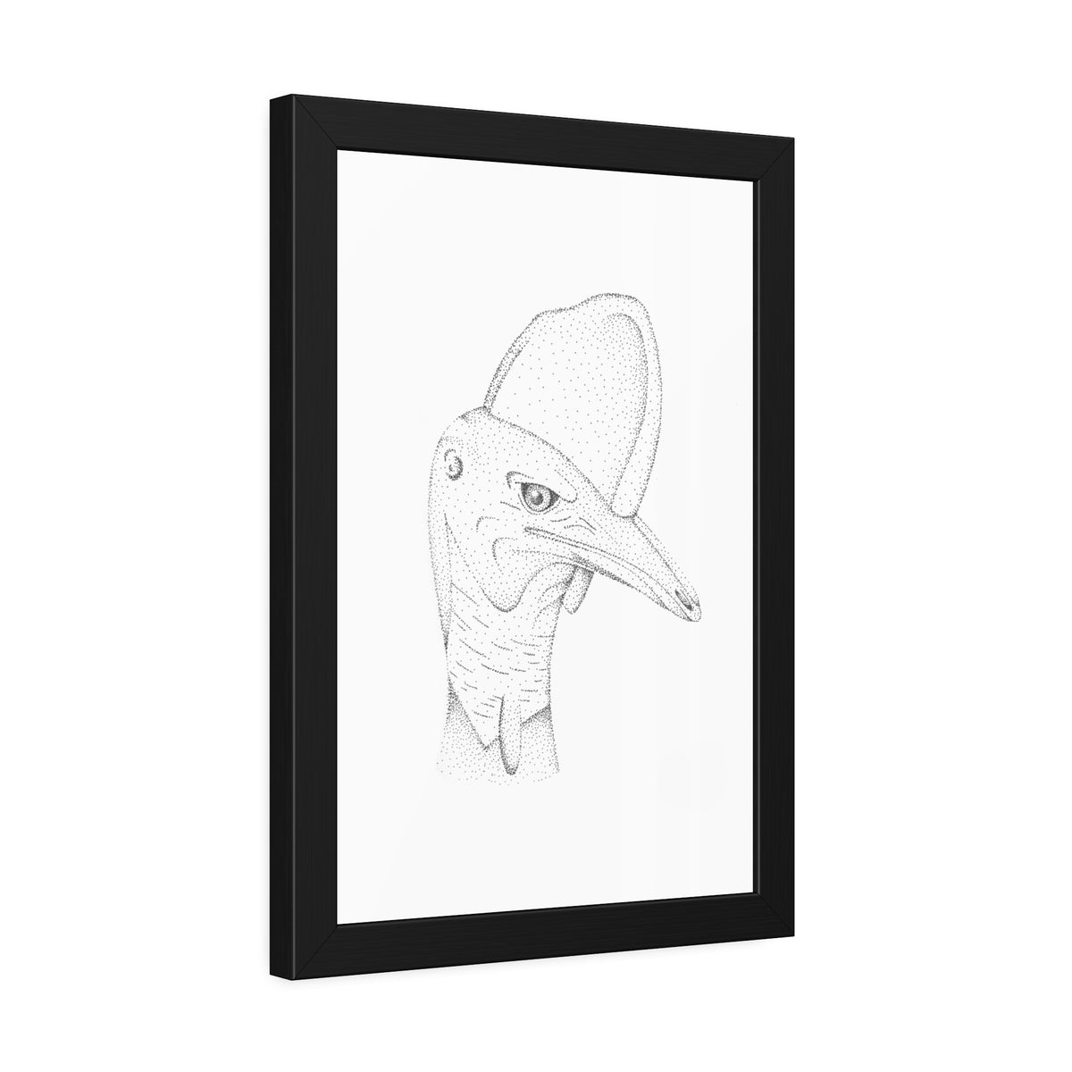 Framed Paper Posters - Cassowary