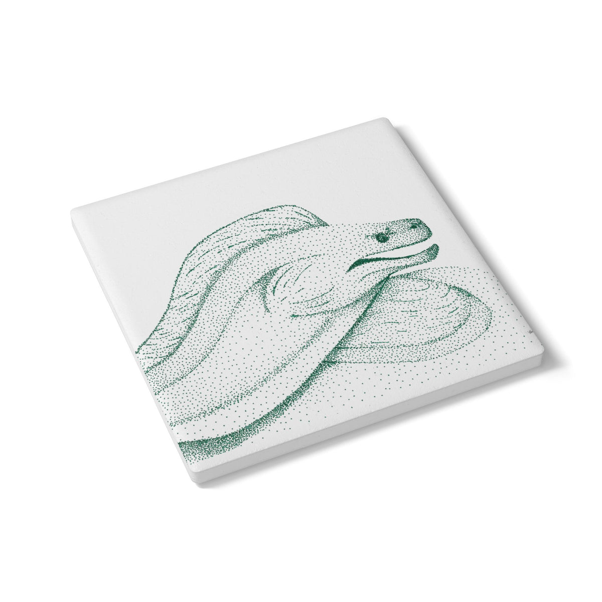 Ceramic Drink Coaster Set — Hand-Drawn Moray Eel