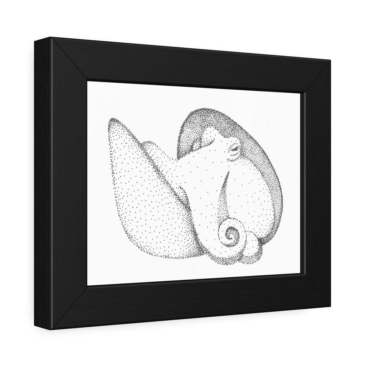 Framed Paper Poster - Shelled Octopus