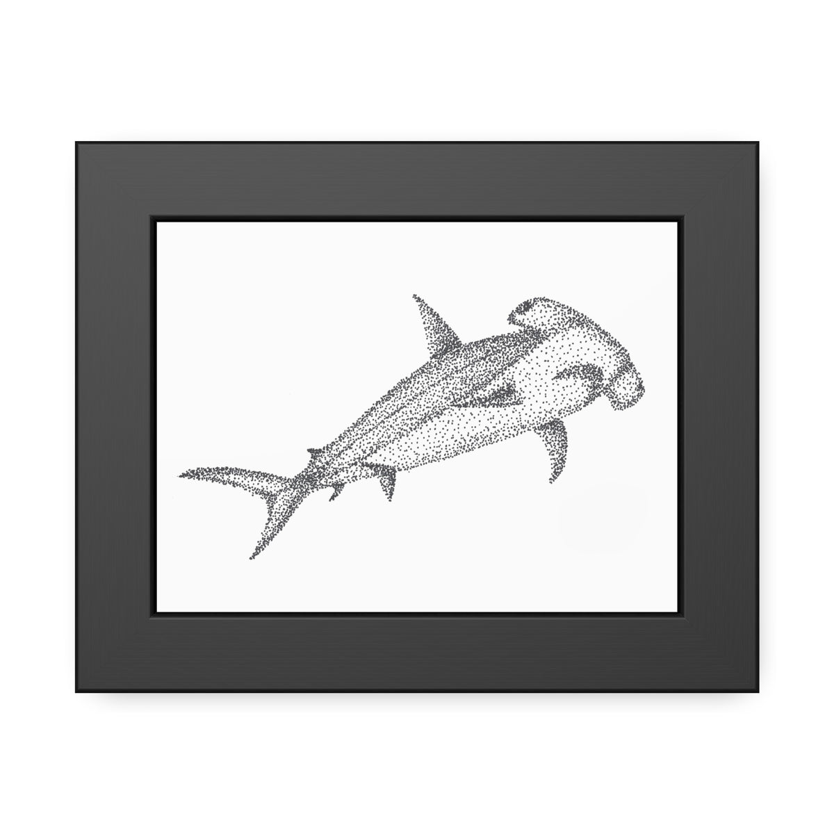 Framed Paper Posters - Hammerhead