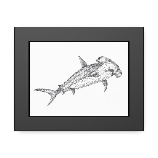 Framed Paper Posters - Hammerhead