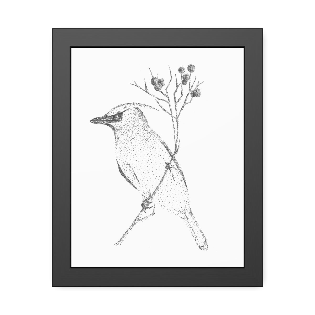 Framed Paper Posters - Waxwing
