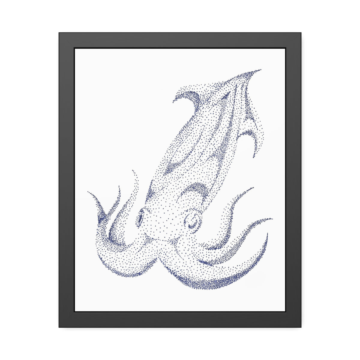 Framed Paper Posters - Squid