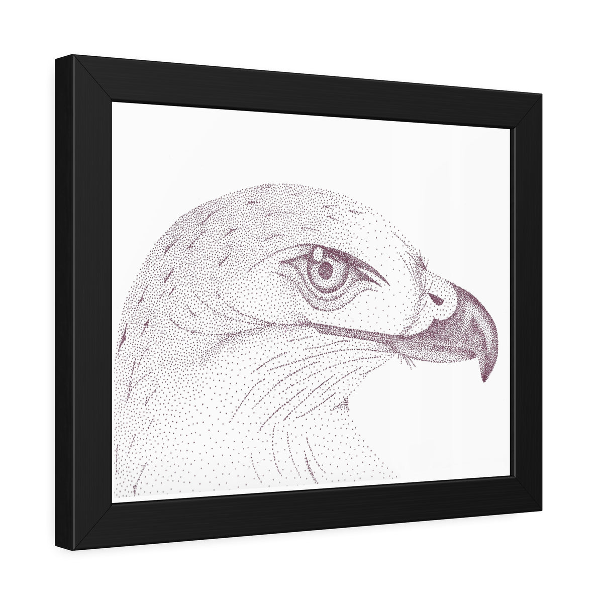 Framed Paper Posters - Hawk