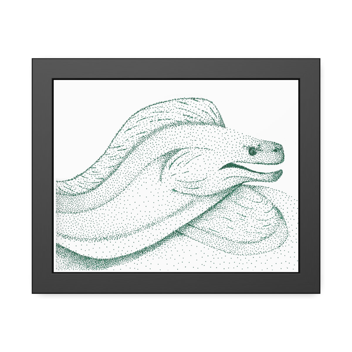 Framed Paper Posters - Moray Eel