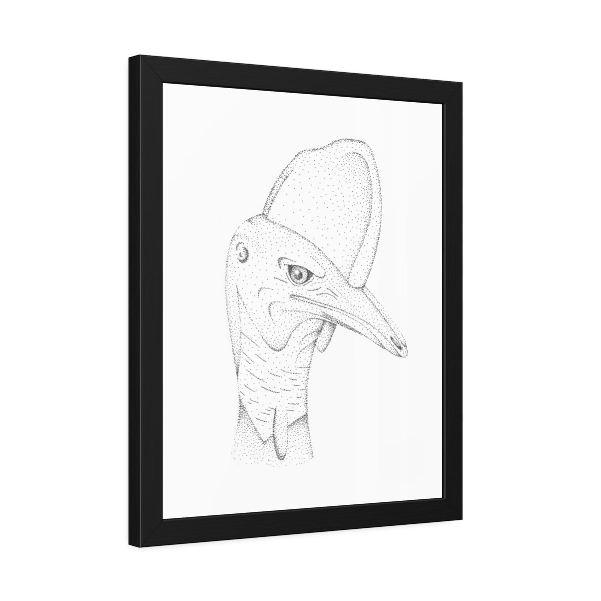 Framed Paper Posters - Cassowary
