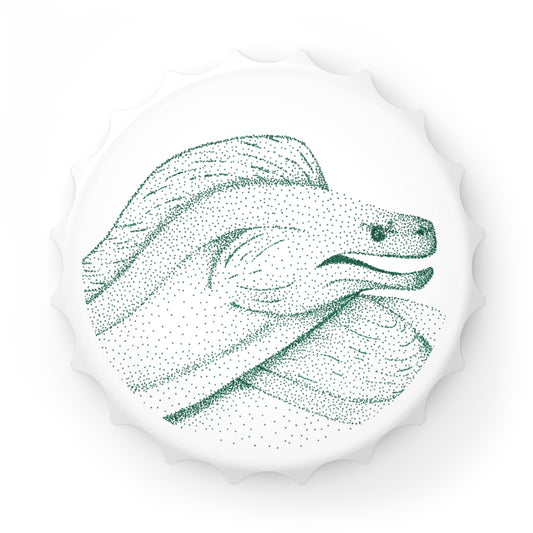 Bottle Opener - Moray Eel