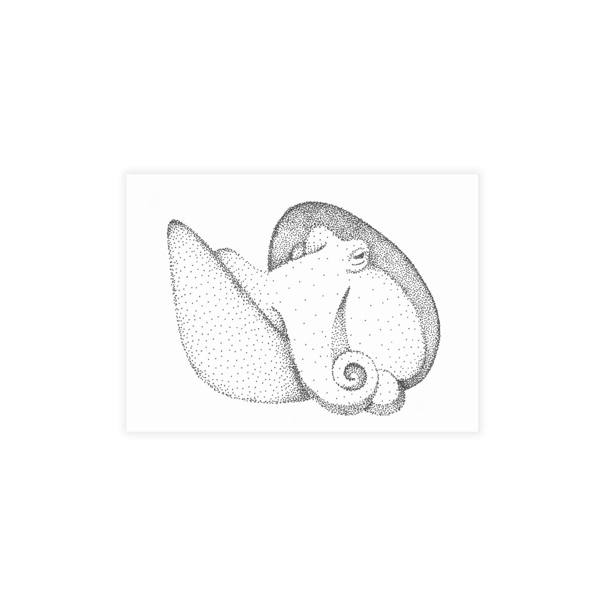 Postcard Bundle with Envelopes - Shelled Octopus