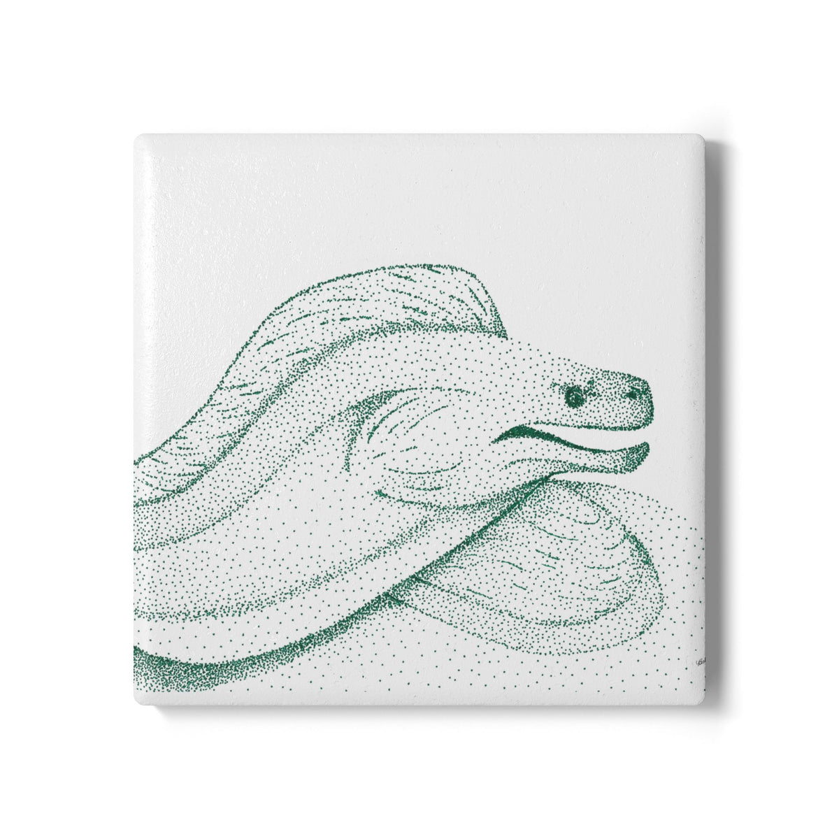 Ceramic Drink Coaster Set — Hand-Drawn Moray Eel