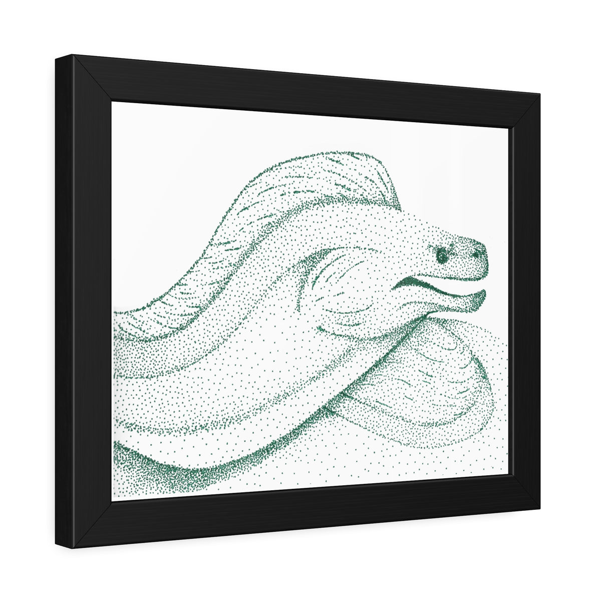 Framed Paper Posters - Moray Eel