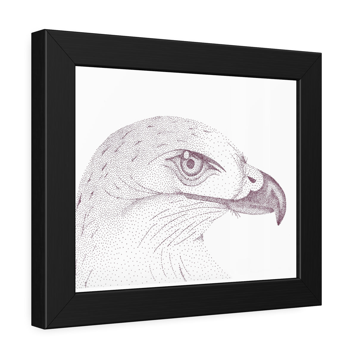 Framed Paper Posters - Hawk