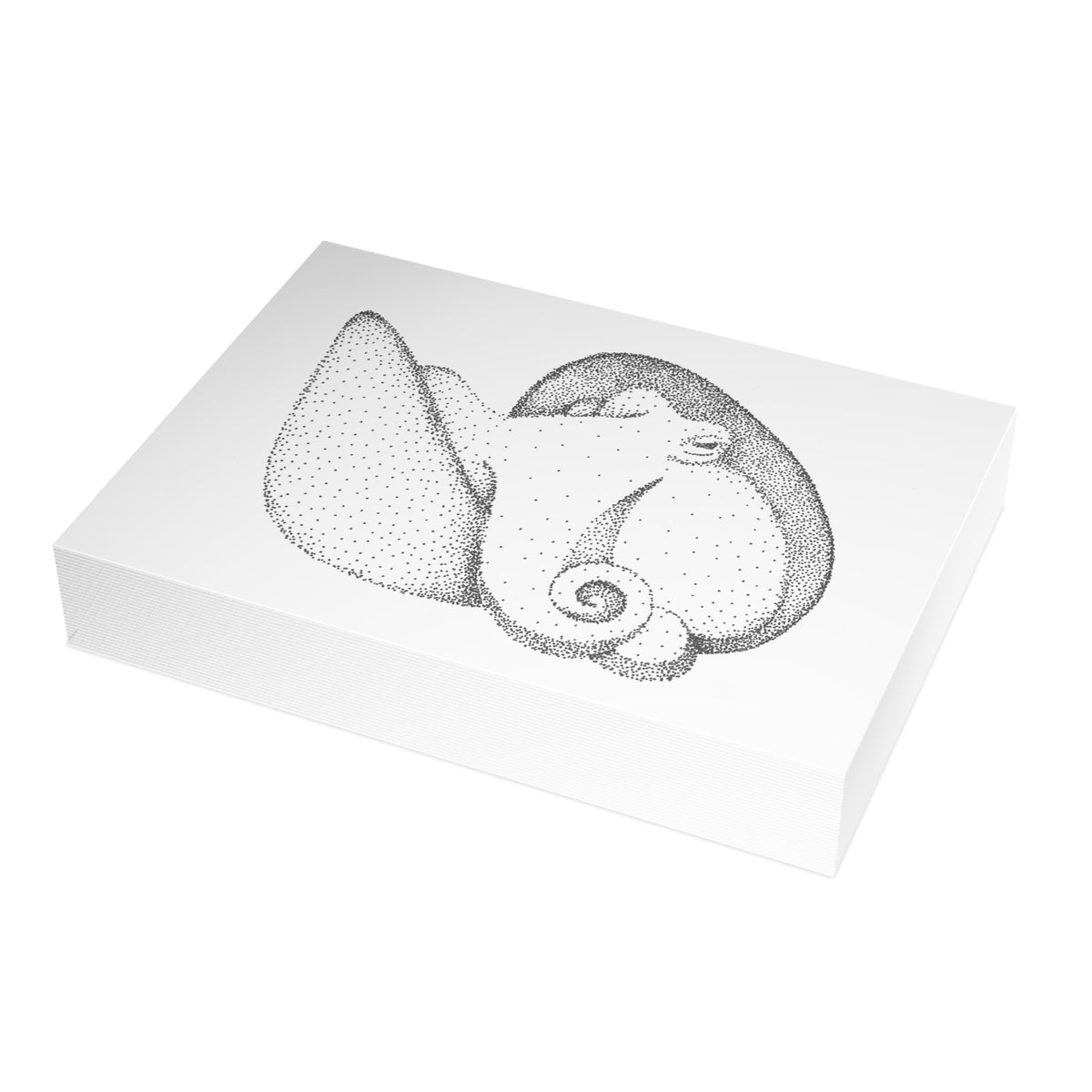 Postcard Bundle with Envelopes - Shelled Octopus