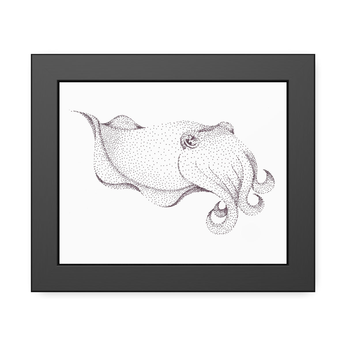 Framed Paper Posters - Cuttlefish