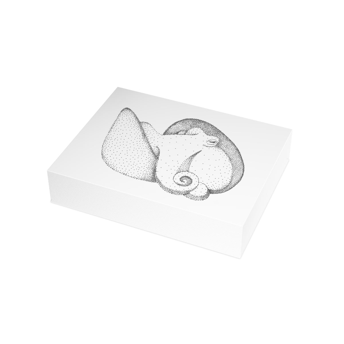 Postcard Bundle with Envelopes - Shelled Octopus