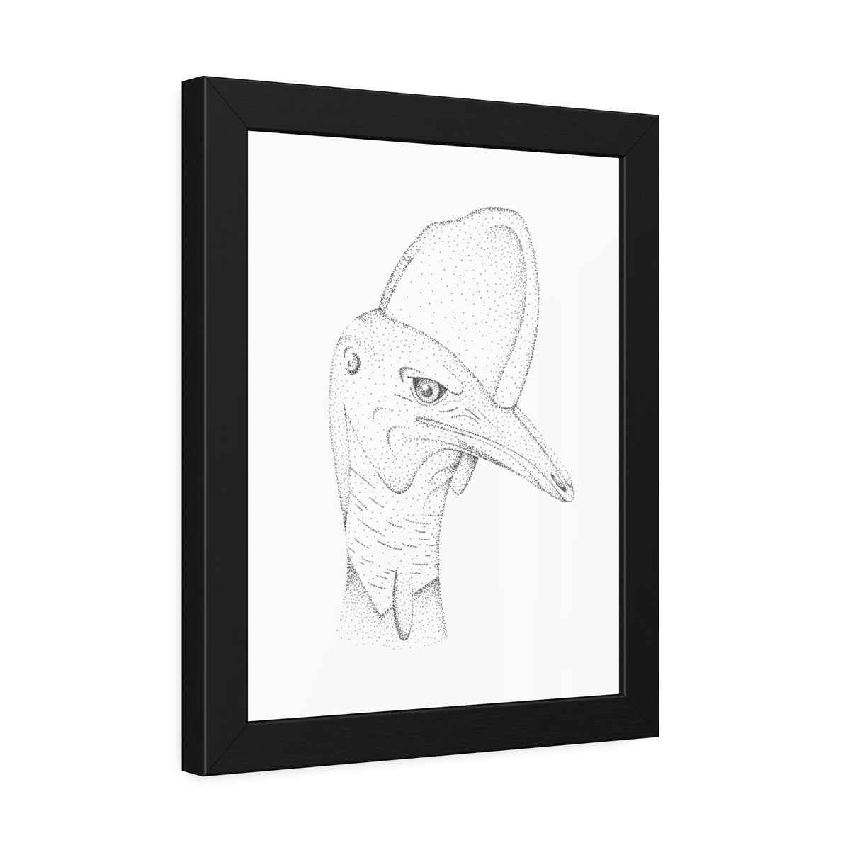 Framed Paper Posters - Cassowary
