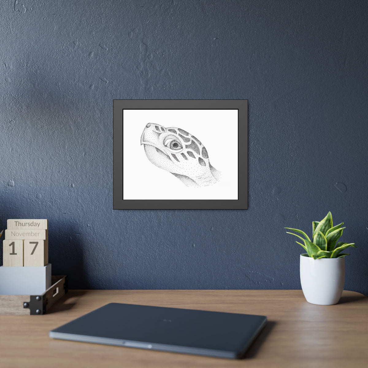 Framed Paper Posters - Sea Turtle