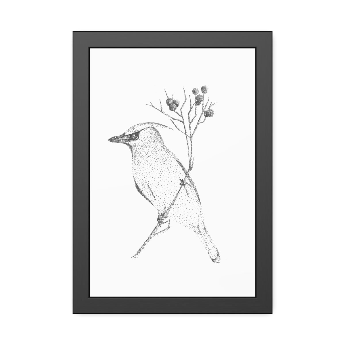 Framed Paper Posters - Waxwing