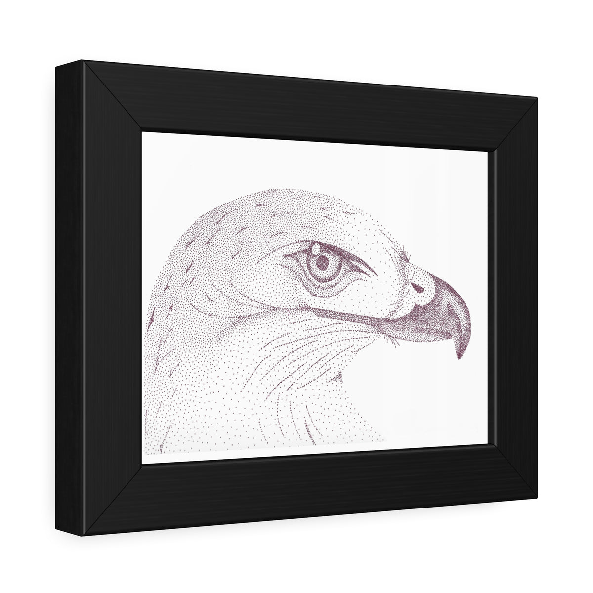 Framed Paper Posters - Hawk