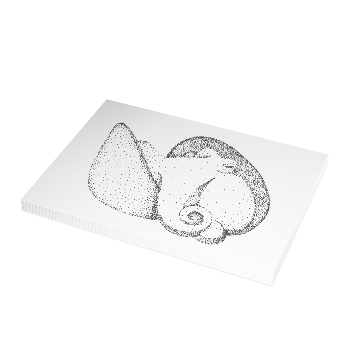 Postcard Bundle with Envelopes - Shelled Octopus