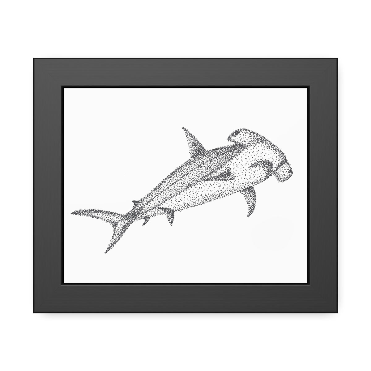 Framed Paper Posters - Hammerhead