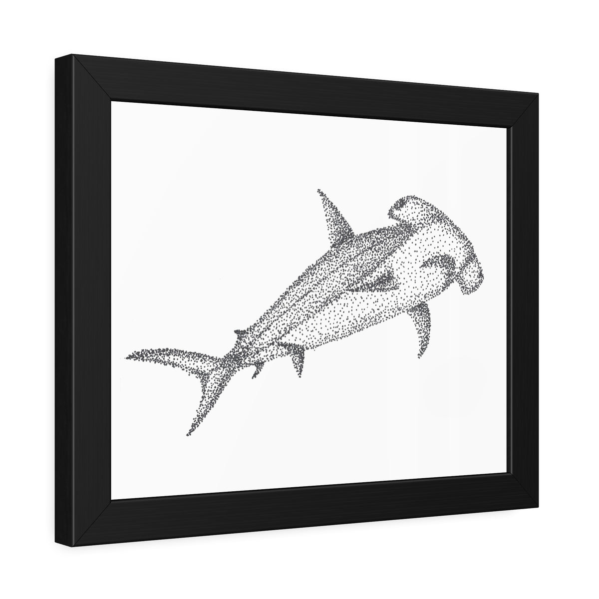 Framed Paper Posters - Hammerhead