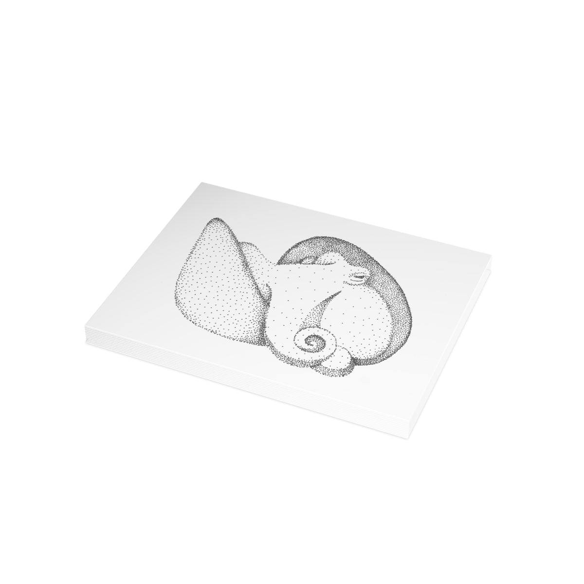 Postcard Bundle with Envelopes - Shelled Octopus
