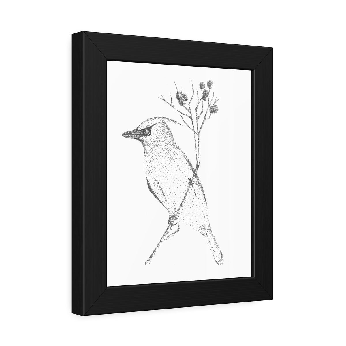 Framed Paper Posters - Waxwing