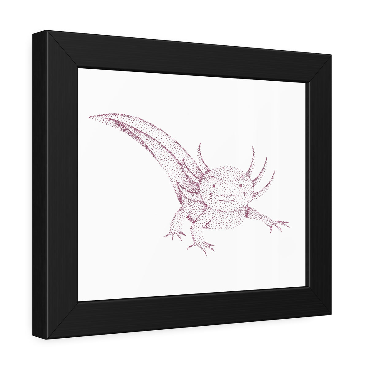 Framed Paper Posters - Axolotl