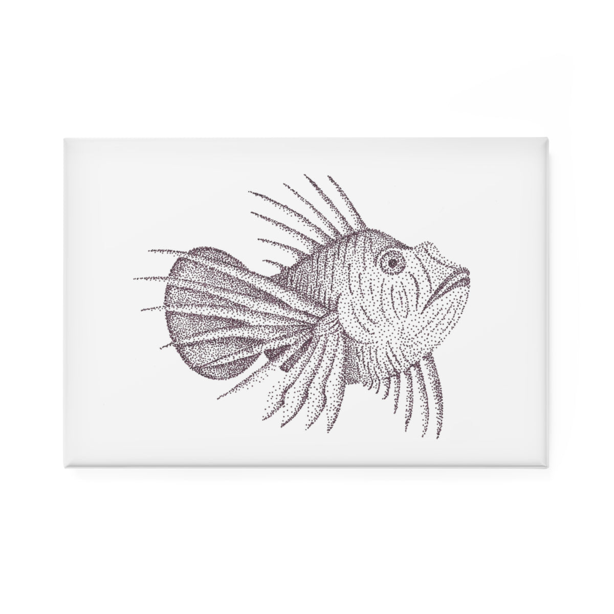 Magnet, Rectangle - Lionfish