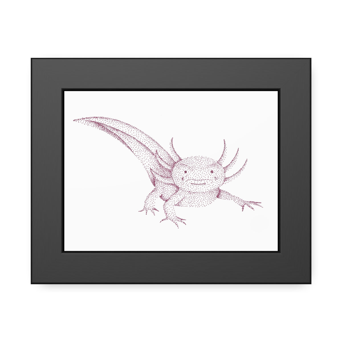 Framed Paper Posters - Axolotl