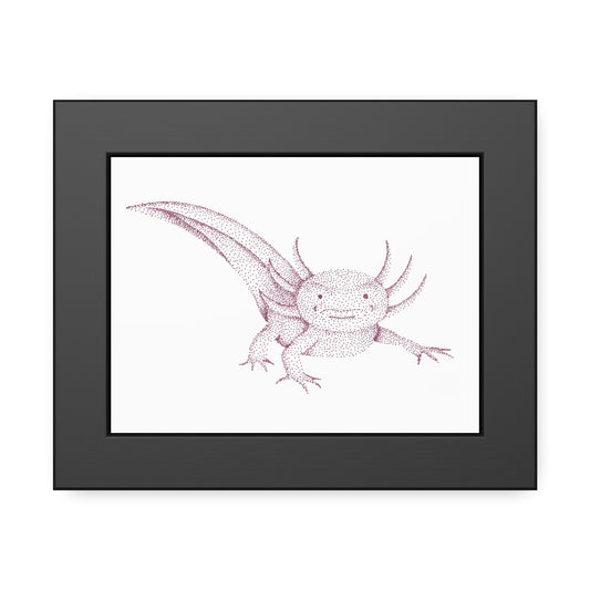 Framed Paper Posters - Axolotl