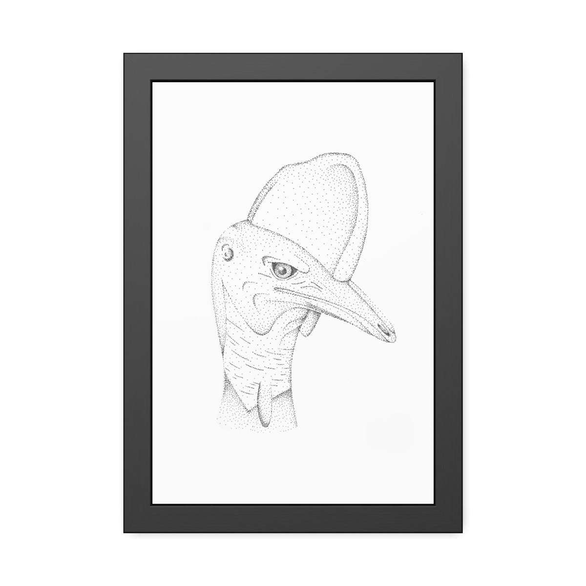 Framed Paper Posters - Cassowary