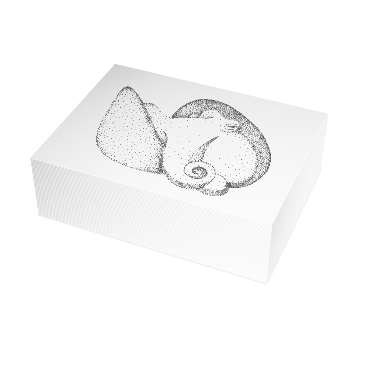 Postcard Bundle with Envelopes - Shelled Octopus