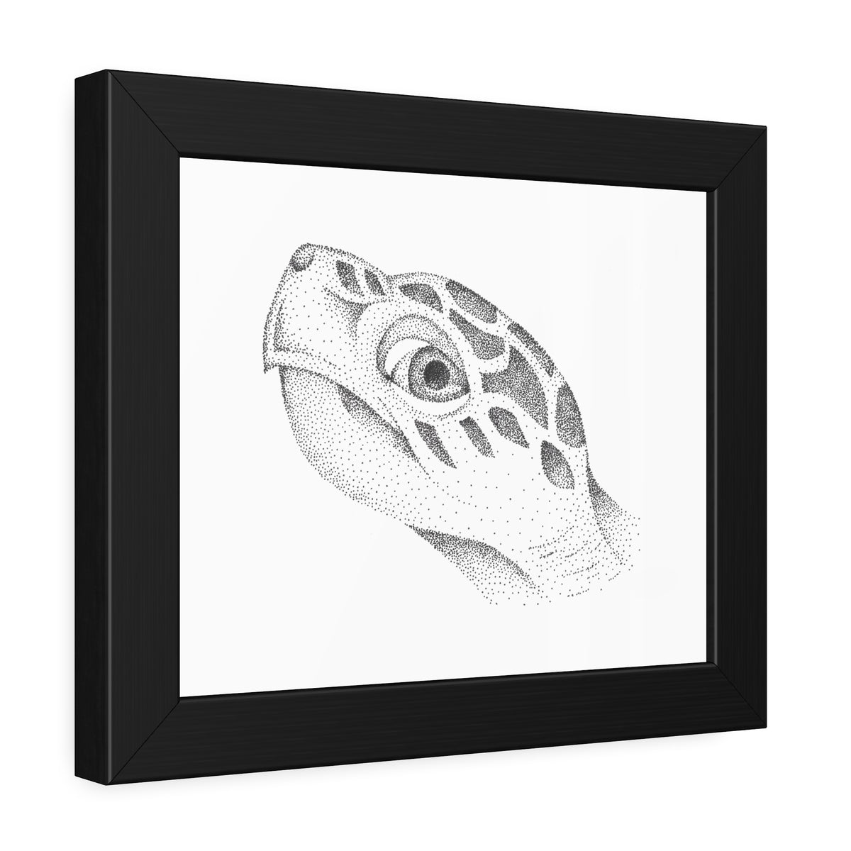 Framed Paper Posters - Sea Turtle